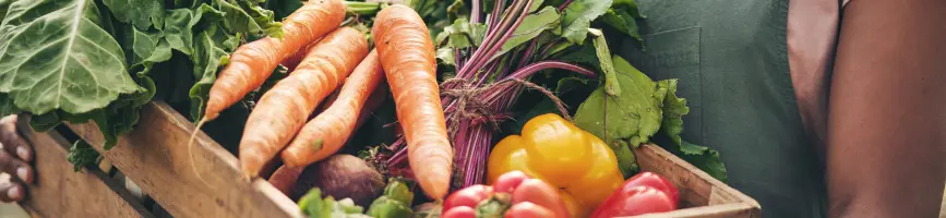 restaurant procurement