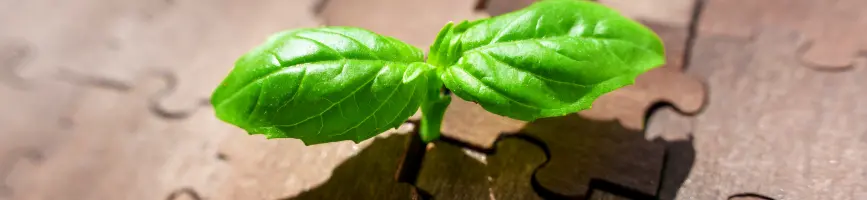 Vertical B2B Marketplaces and
Horizontal B2B Marketplaces